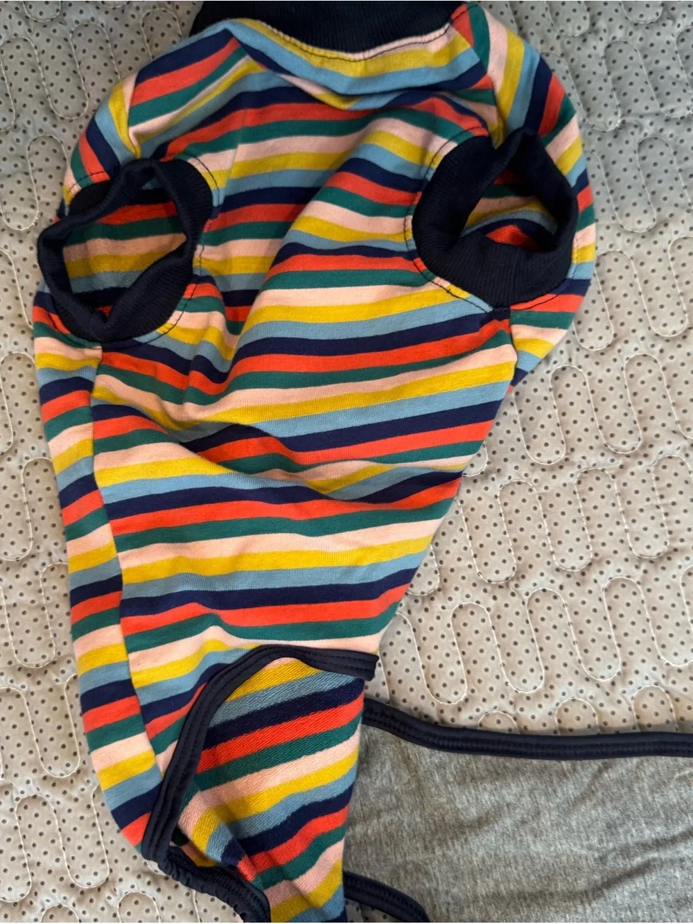 Striped Multicolor Dog Shirt - Rainbow Stripes